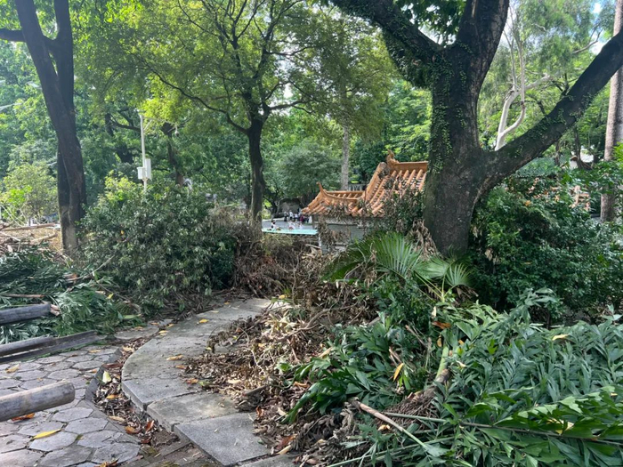 书院改造前风貌