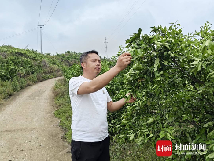 张家顺是四川内江一家公司的总经理,当地老百姓更熟知他的身份是
