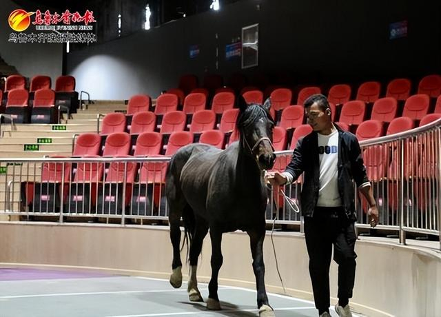 　　天山明月城奇幻剧场即将与市民见面。记者雷婷摄