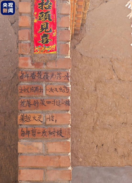 网友:墙上这些字,是他认认