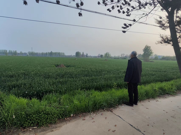 4月12日，李奎星到弟弟坟前告诉他开庭再审的消息。新京报记者 韩福涛 摄