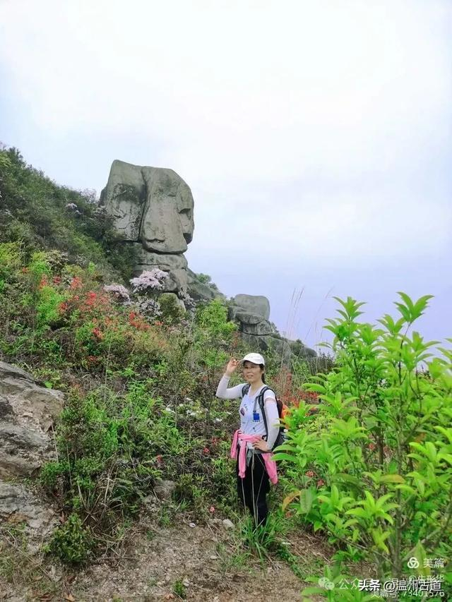 白龙山|白龙|奇石_新浪新闻