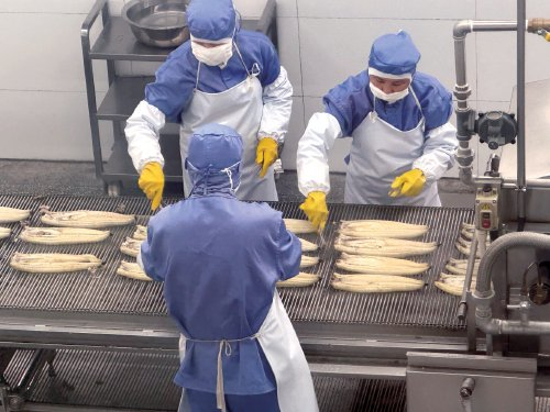 　　工人在烤鳗生产线上忙碌着。　农民日报·中国农网记者　杨惠　摄