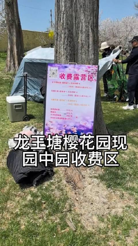 辽宁大连,游客吐槽旅顺龙王塘樱花园乱像,据拍摄者说: 门票已经买了