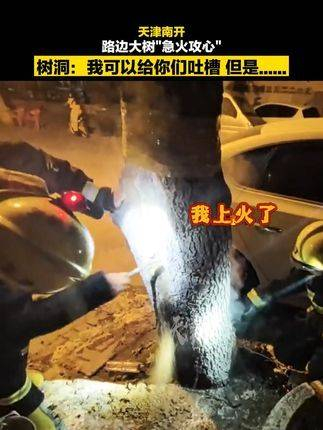 路旁树洞发生急火攻心,消防员用水枪扑灭火焰