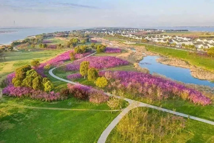 紫荆公园，图源：相城度假区