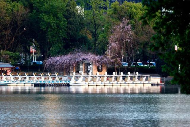 旅游看点>正文> 雨山湖公园列车最快运行时间 :2小时6分钟部分车次