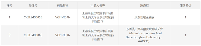 截图来源：CDE官网