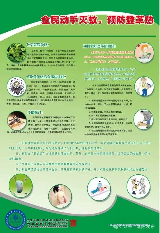 预防登革热宣传知识