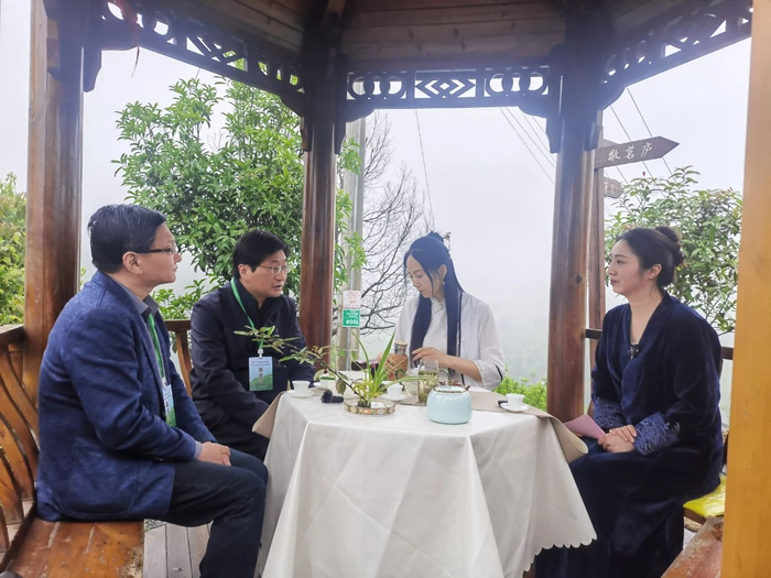 "举杯相劝太湖茶"安徽·太湖第三届大别山天华谷尖茶文化旅游周开幕