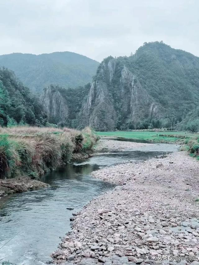桂林市|温州市_新浪新闻