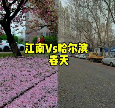 江南的春天和哈尔滨差别太大!春天