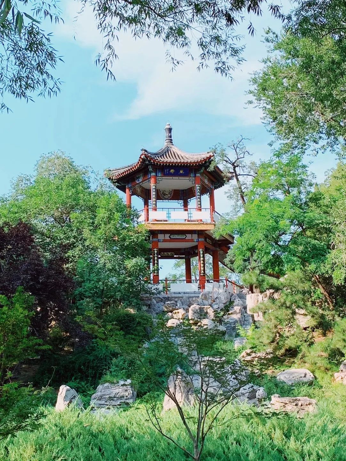 这5个不花钱的小众公园,让你的周末惬意到next level |city