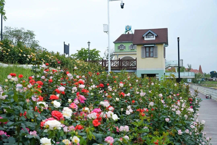 合肥版莫奈花园:曾多次登上央视新闻更多惊喜等你发现假期花式亲子
