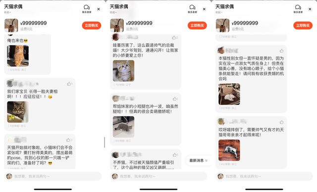（图：话题评论区大量家长晒“猫娃”应征）