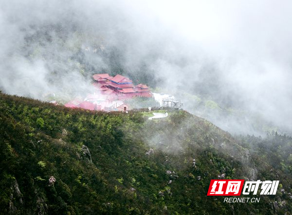 永州十场花事丨双牌县开展"赏杜鹃 游阳明 拍永州"摄影采风活动