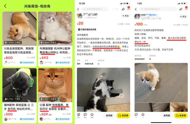 （图：闲鱼萌宠相亲角里相亲帖文案卷出花）