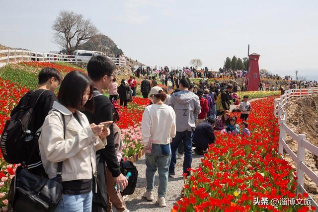 "五一"淄博十大必打卡景点攻略来了.