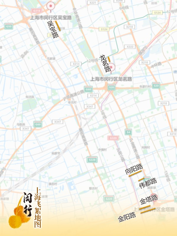 上海飞絮地图|上海市|飞絮_新浪新闻