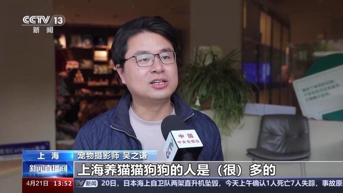 假期寄养预订火爆!萌宠经济升温 催生"花式养宠"新业态|狗_新浪新闻