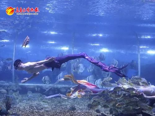 乌鲁木齐县水西沟镇闲来小镇的南山海世界海洋公园里,一位男美人鱼的