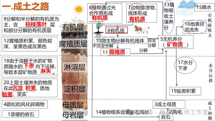 13种特色农业地域类型土壤有机质的收支平衡