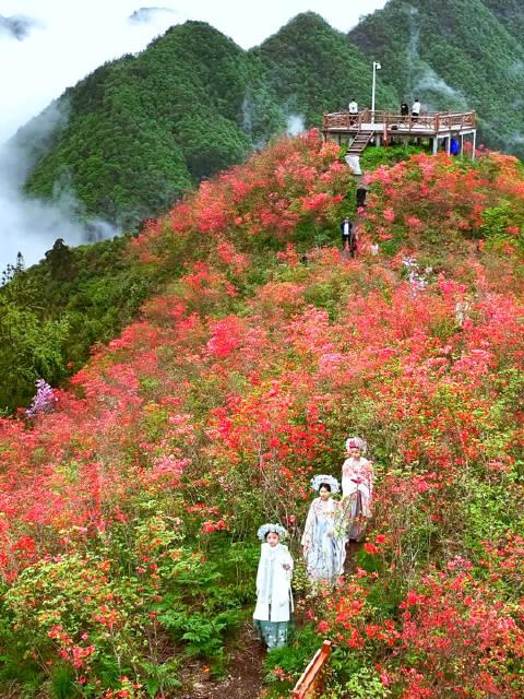 淳安屏门乡旅游景点图片