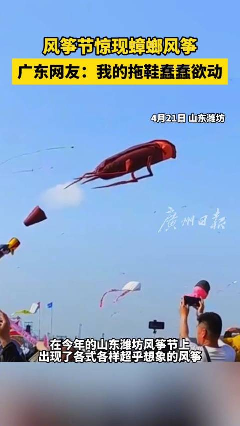 潍坊风筝节惊现蟑螂风筝 广东网友:我的拖鞋蠢蠢欲动