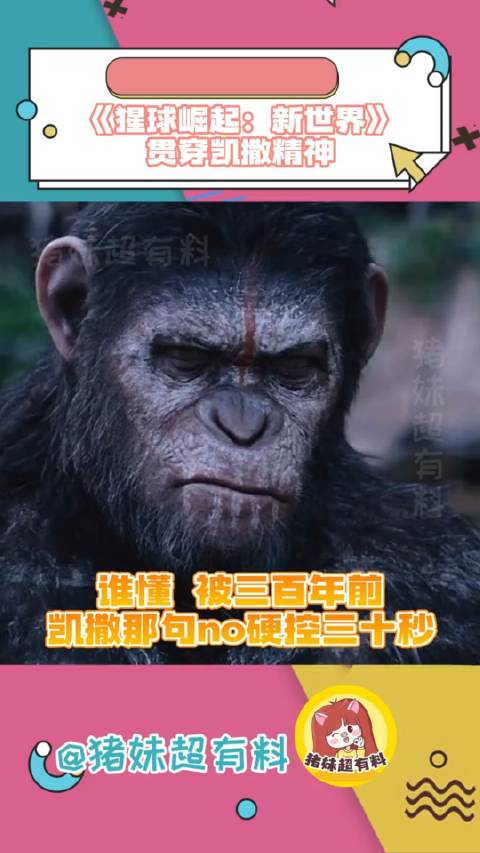 我说谁能不爱上新世界聪明的诺亚呢