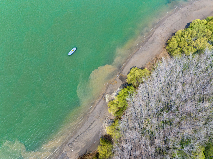 聆听长三角之"绿色"协奏曲|长三角|新安江|上海市_新浪新闻