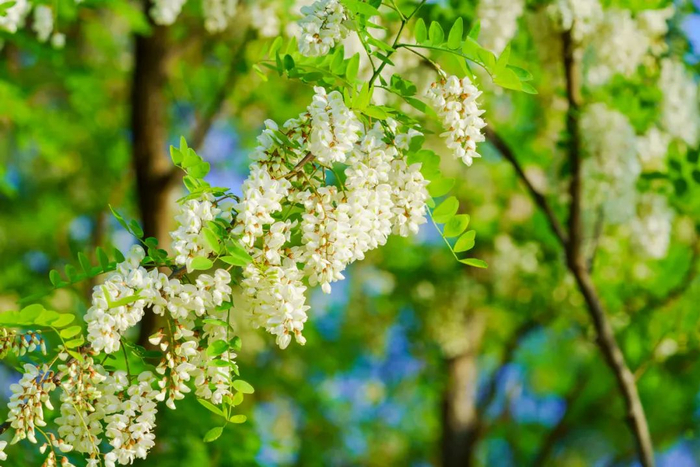 图库版权图片，转载使用可能引发版权纠纷