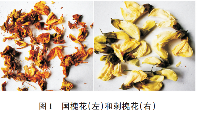 图片来源参考文献4