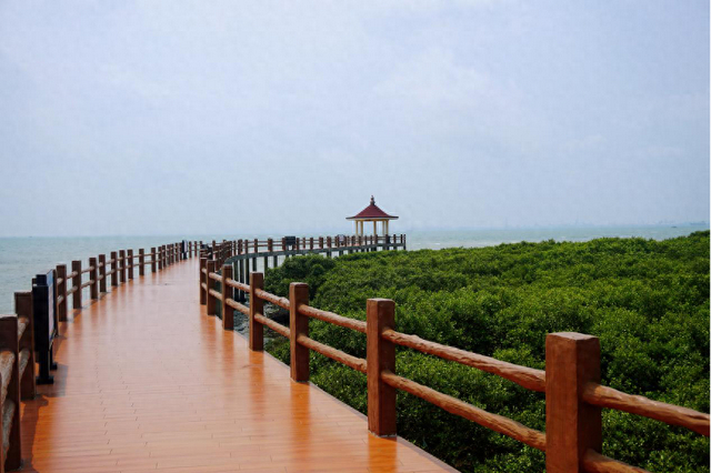 湛江霞山特呈岛:生态风光与文化底蕴共赏,看古老岛屿的文旅新样貌