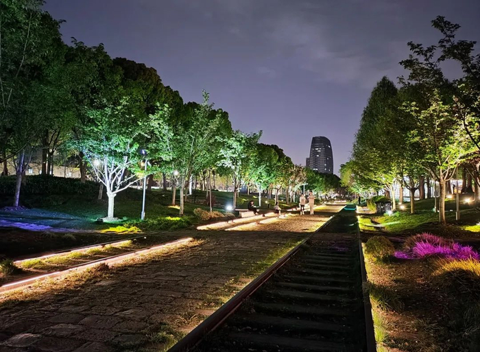 光影流转的滨江,等你来发现更多美景