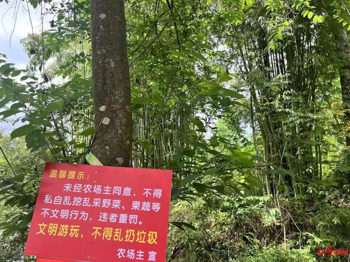 大邑县一农家乐贴出的严禁乱挖野菜、蔬果的告示