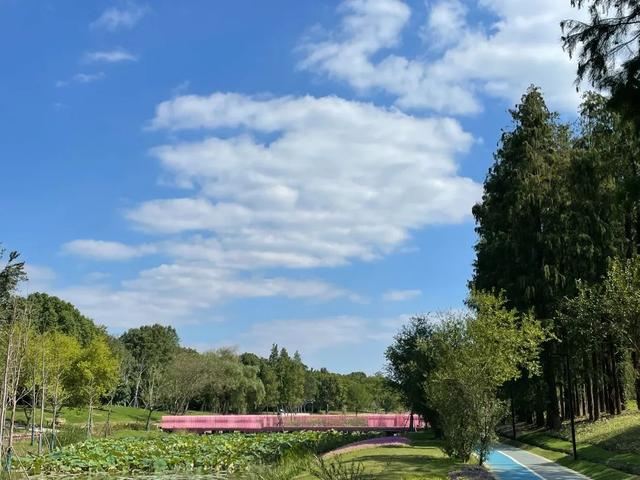 公园常态开展自然科普,生命教育,家教指导,家文化课堂等家儿类服务