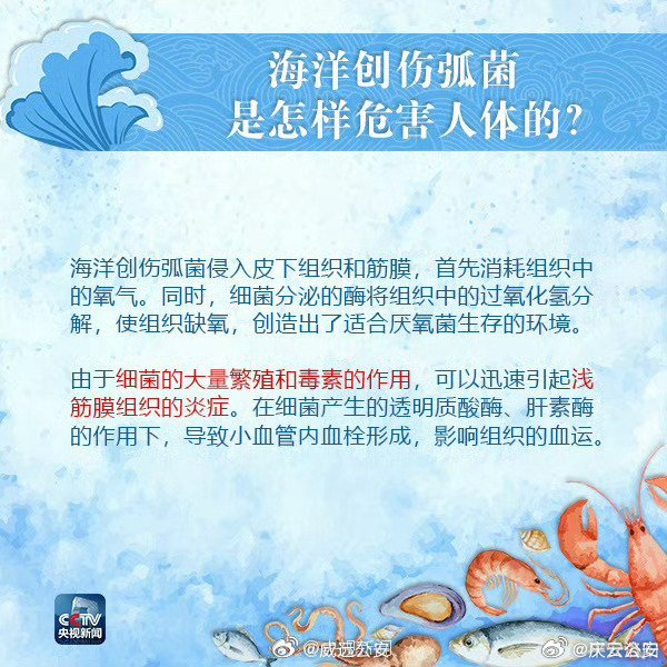 2岁男童疑接触鱼感染"海洋创伤弧菌",住进icu面临截肢