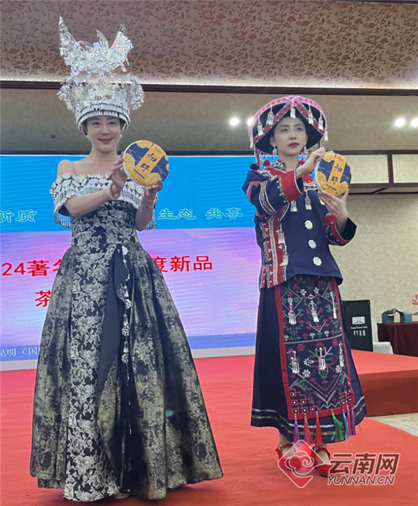 "一带一路"2024第八届昆明(国际)春茶周在昆启幕