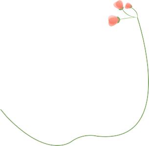 花团锦簇简笔画边框图片