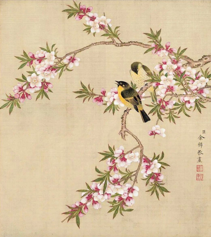 又是一年春来到,苏堤桃花朵朵开