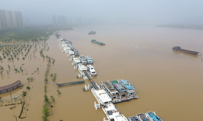 4月22日,广东省清远市,洪峰过境,北江南岸码头一带依然洪水滔滔,树木