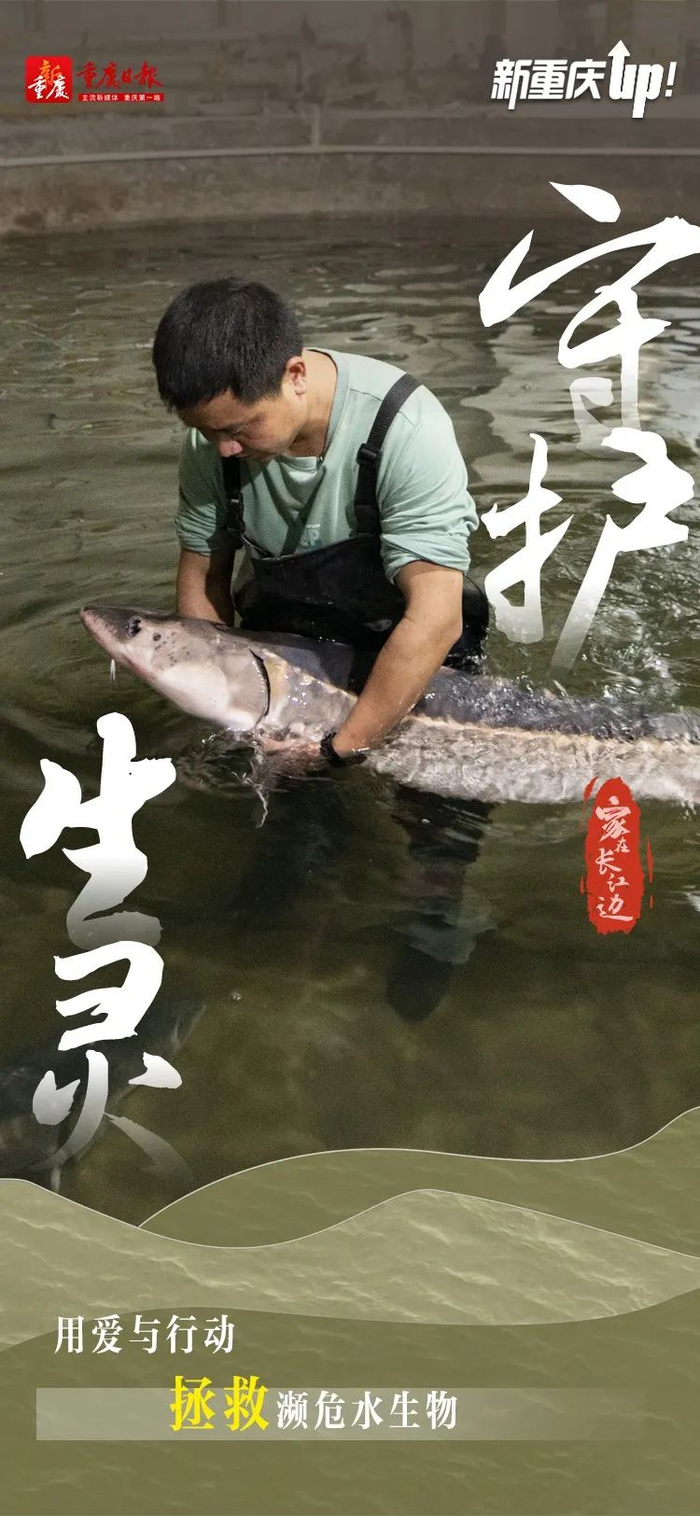 钟志兵(特约)编辑:袁文蕙 黄景琳 李一懿美编:李春雪主编:万难 李媛媛