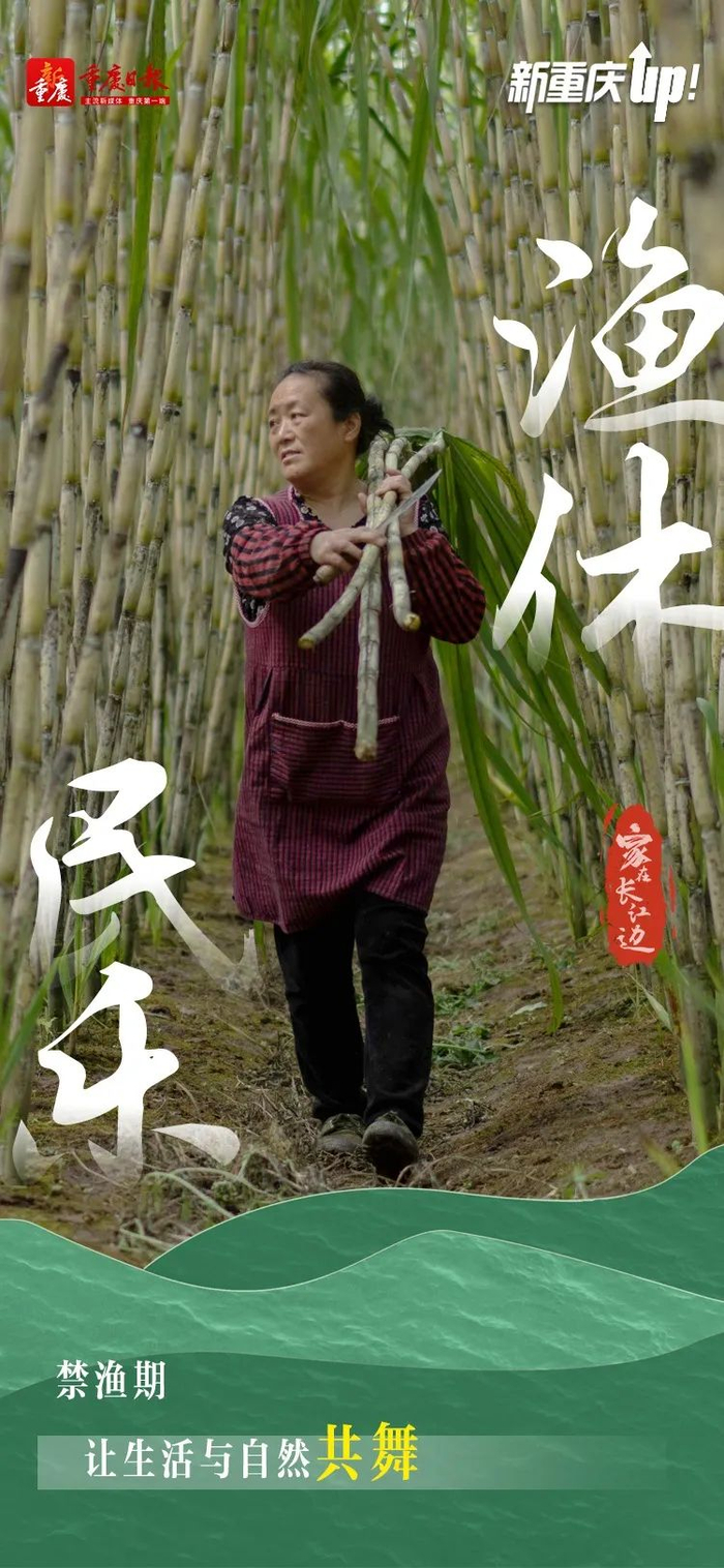 摄影:崔力 谢智强  辛飞(特约) 王正坤(特约)王晓宇(通讯员)王忠虎