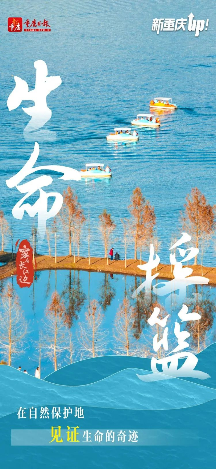 钟志兵(特约)编辑:袁文蕙 黄景琳 李一懿美编:李春雪主编:万难 李媛媛