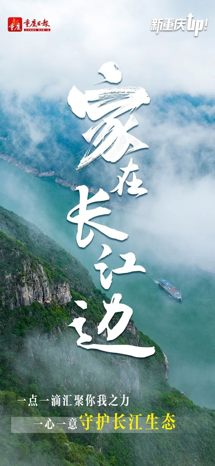 新重庆up系列海报|家·在长江边