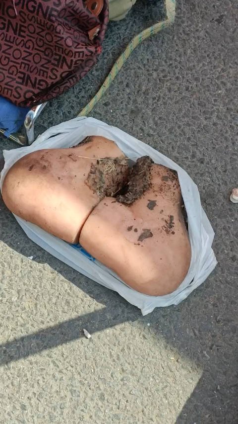 大集上卖的肉灵芝,这是个啥呀?