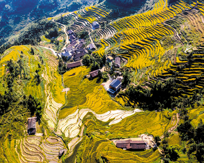 发现 | 山乡秀美 梯田如画