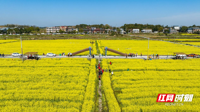 苏仙区栖凤渡镇:以文铸魂推进乡村文化振兴