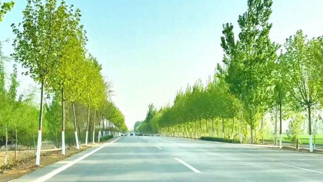 自2024年3月以来,邯郸曲周县交通运输局持续加大路域环境综合整治力度