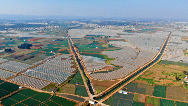 村级集体经济看亮点 | 云南泸西县金马镇:"金马"奔出山 "蔬"写好光景